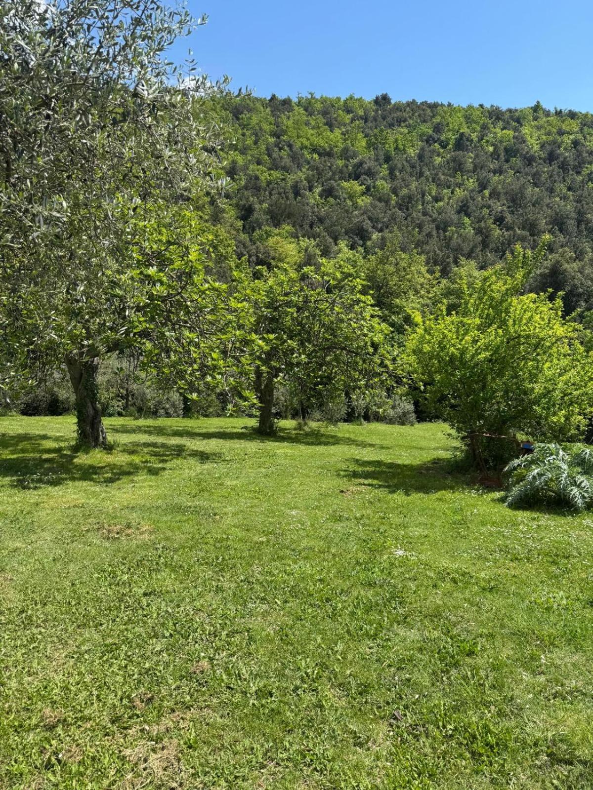 Villa Casa Franceschini Poggio Mirteto Exterior foto
