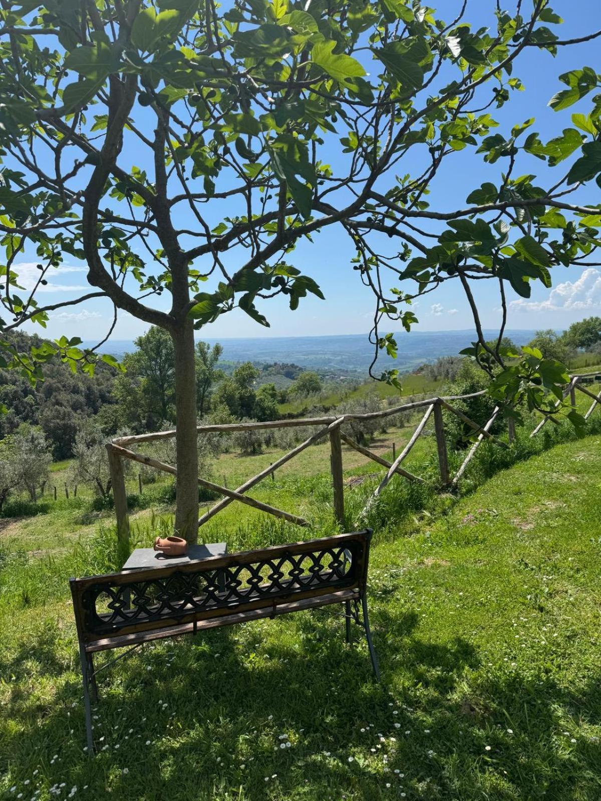 Villa Casa Franceschini Poggio Mirteto Exterior foto